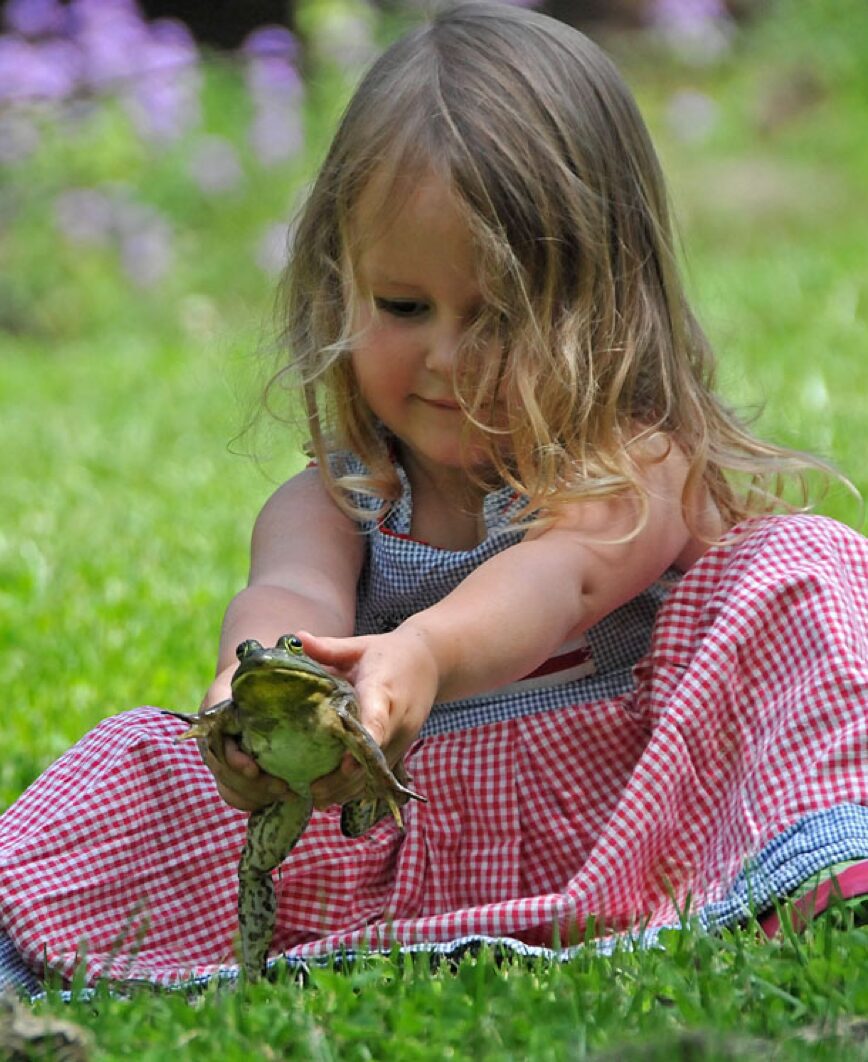 A young child in a red and white checkered dress sits on green grass, smiling and holding a large green amphibian with both hands. Purple flowers blur in the background.