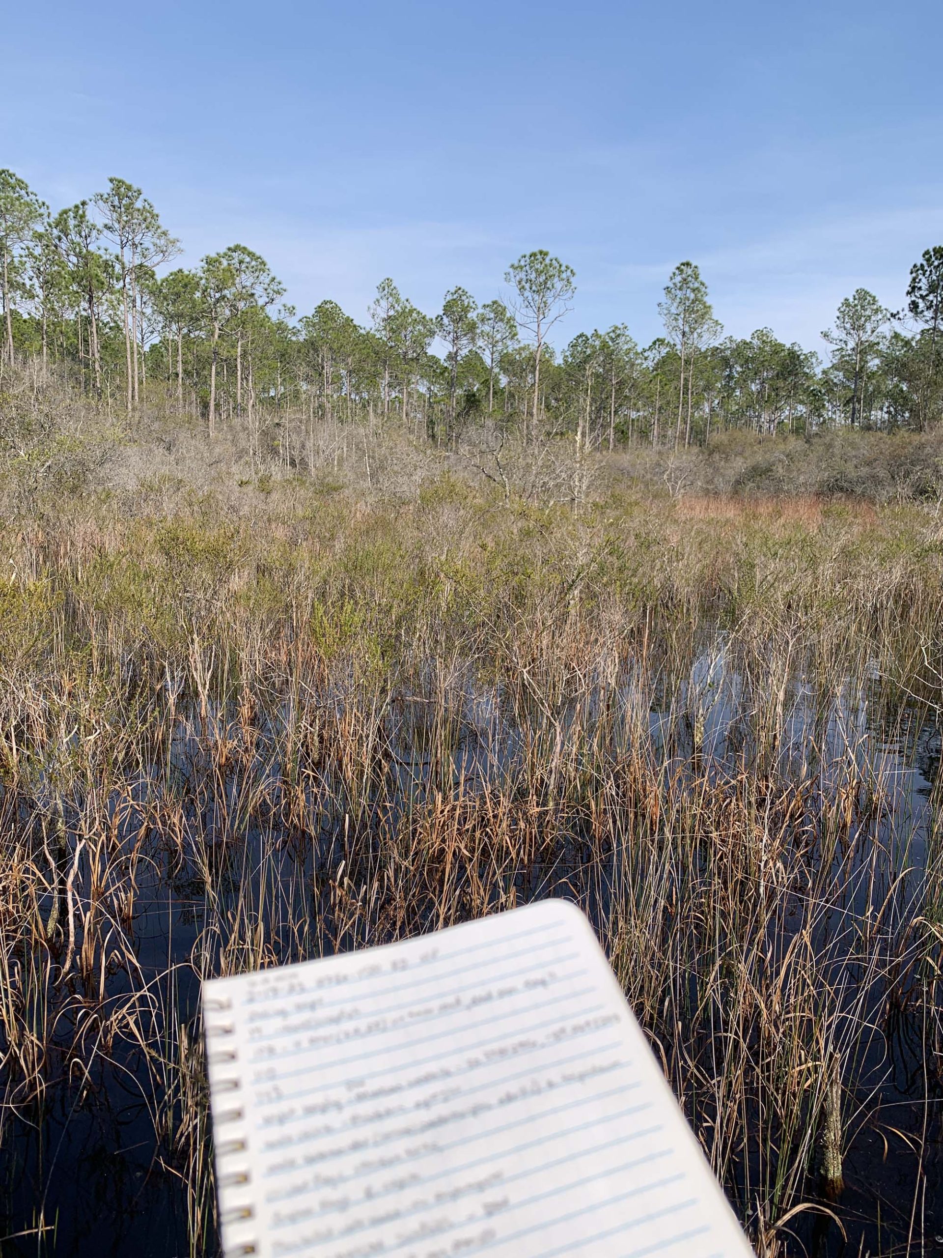 Conserving Amphibians and Reptiles on Private Lands: The 2023 Farm Bill ...