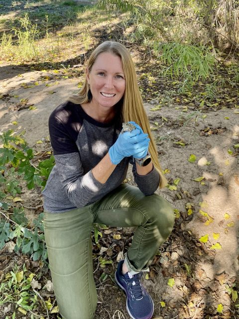 Stephanie Haan-Amato